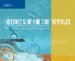 Internet Surf And Turf-Revealed : The Essential Guide To Copyright, Fair Use, and finding Media cover
