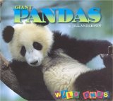 Giant Pandas [Click for larger image]