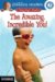 The Amazing, Incredible You! cover