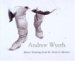 Andrew Wyeth : Master Drawings from the Artist's Collection cover