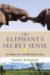 The Elephant's Secret Sense : The Hidden Life of the Wild Herds of Africa cover