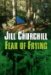 Fear of Frying cover