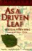 As a Driven Leaf cover