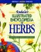Rodale's Illustrated Encyclopedia of Herbs cover