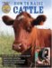How to Raise Cattle : Everything You Need to Know cover