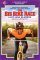 Big Bike Race cover
