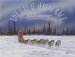 The Great Serum Race : Blazing The Iditarod Trail cover