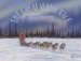 The Great Serum Race : Blazing The Iditarod Trail cover