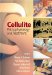 Cellulite : Pathophysiology And Treatment cover