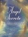 Angel Secrets : Stories Based On Jewish Legend cover