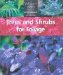 Trees and Shrubs for Foliage cover