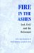 Fire in the Ashes : God, Evil, And the Holocaust cover