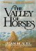 Valley of Horses cover