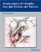 Neurosurgery Of Complex Vascular Lesions And Tumors cover