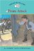 Pirate Attack cover