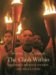 The Clash Within : Democracy, Religious Violence, and India's Future cover