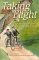 Taking Flight : The Story of the Wright Brothers cover