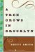 A Tree Grows in Brooklyn cover