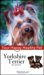 Yorkshire Terrier cover