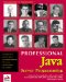 Professional Java Server Programming cover
