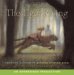 The Tiger Rising cover