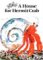 House For Hermit Crab cover