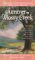 Summer in Mossy Creek cover