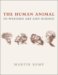 The Human Animal in Western Art and Science cover