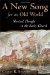 A New Song for an Old World : Musical Thought in the Early Church cover
