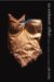 An Intimate Affair : Women, Lingerie, and Sexuality cover