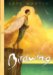 Birdwing cover