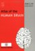 Atlas of the Human Brain cover