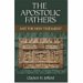 The Apostolic Fathers And the New Testament cover