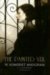 The Painted Veil cover