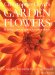 Christopher Lloyd's Garden Flowers : Perennials, Bulbs, Grasses, Ferns cover