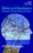Bibles And Baedekers : Tourism, Travel, Exile And God cover