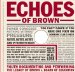 Echoes Of Brown : Youth Documenting And Performing The Legacy Of Brown V. Board Of Education cover