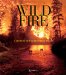 Wildfire : A Century of Failed Forest Policy cover