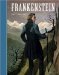 Frankenstein cover