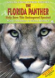 The Florida Panther : Help Save This Endangered Species! [Click for larger image]