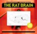 The Rat Brain in Stereotaxic Coordinates cover