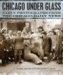 Chicago Under Glass : Early Photographs from the Chicago Daily News cover