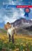 Summer Lovin' : The Preacher's Daughter/A Baby on the Way/A Reunion Romance cover