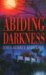 Abiding Darkness cover