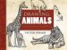 Drawing Animals cover