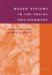 Macro Systems in the Social Environment cover