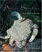 Atlantic Shorelines : Natural History and Ecology cover