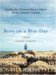 Born on a Blue Day : Inside the Extraordinary Mind of an Autistic Savant cover