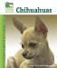 Chihuahuas cover