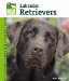 Labrador Retrievers cover